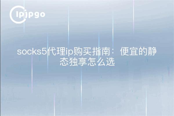 socks5代理ip购买指南:便宜的静态独享怎么选