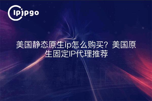 美国静态原生ip怎么购买?美国原生固定IP代理推荐
