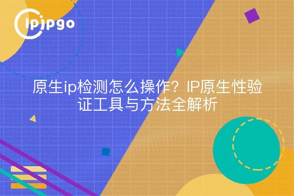 原生ip检测怎么操作？IP原生性验证工具与方法全解析