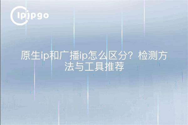 原生ip和广播ip怎么区分?检测方法与工具推荐