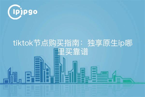 tiktok节点购买指南:独享原生ip哪里买靠谱