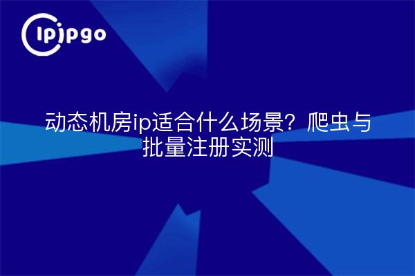 动态机房ip适合什么场景?爬虫与批量注册实测