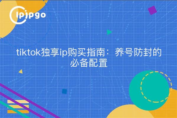 tiktok独享ip购买指南：养号防封的必备配置