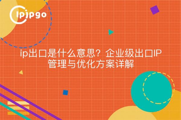 ip出口是什么意思？企业级出口IP管理与优化方案详解