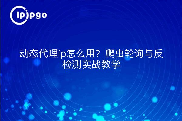 动态代理ip怎么用?爬虫轮询与反检测实战教学