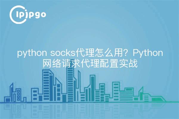 python socks代理怎么用?Python网络请求代理配置实战