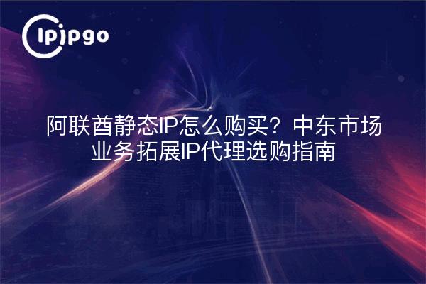 阿联酋静态IP怎么购买？中东市场业务拓展IP代理选购指南