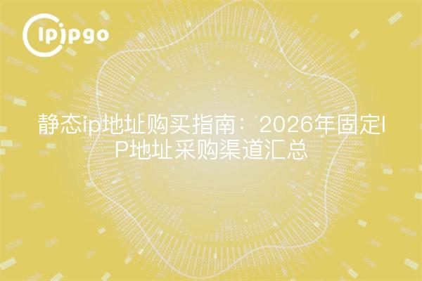 静态ip地址购买指南:2026年固定IP地址采购渠道汇总