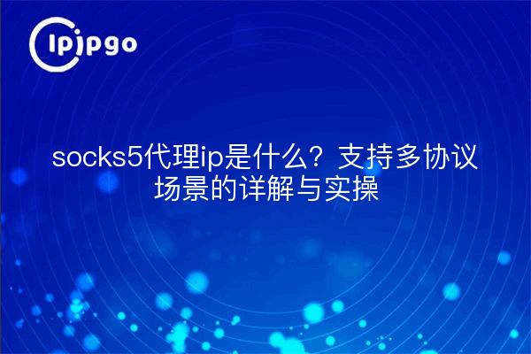 socks5代理ip是什么?支持多协议场景的详解与实操