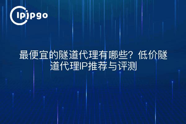 最便宜的隧道代理有哪些？低价隧道代理IP推荐与评测