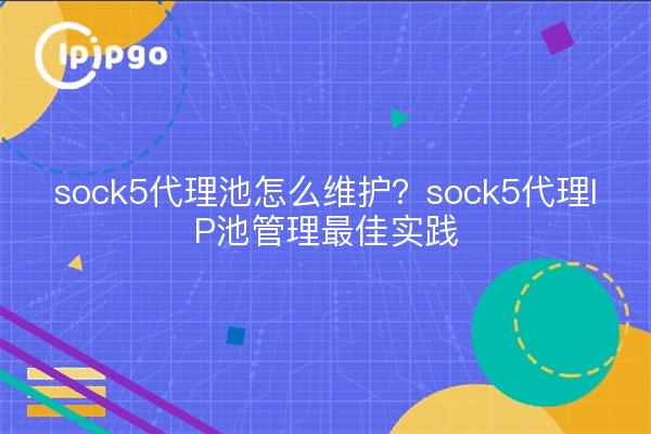 sock5代理池怎么维护？sock5代理IP池管理最佳实践