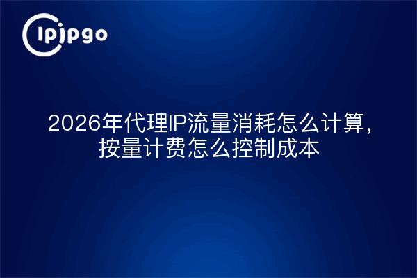 2026年代理IP流量消耗怎么计算，按量计费怎么控制成本