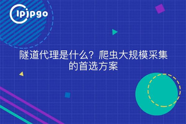 隧道代理是什么?爬虫大规模采集的首选方案