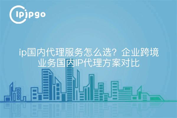 ip国内代理服务怎么选？企业跨境业务国内IP代理方案对比
