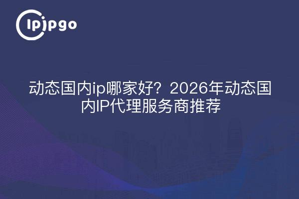 动态国内ip哪家好？2026年动态国内IP代理服务商推荐
