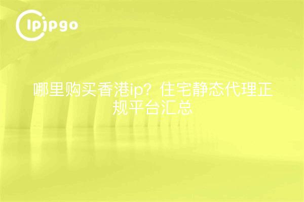 哪里购买香港ip?住宅静态代理正规平台汇总