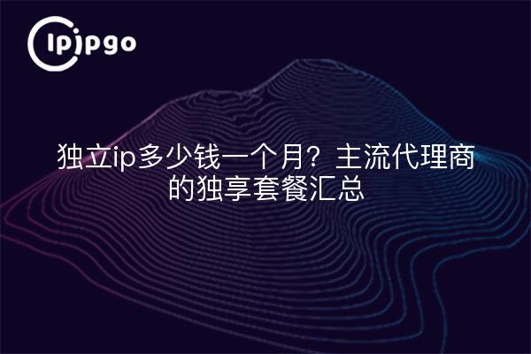 独立ip多少钱一个月?主流代理商的独享套餐汇总