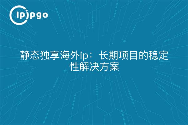静态独享海外ip：长期项目的稳定性解决方案