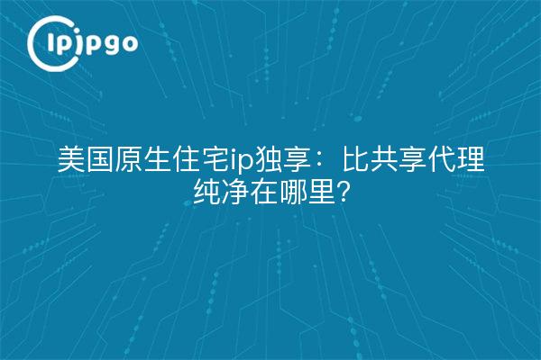 美国原生住宅ip独享:比共享代理纯净在哪里?