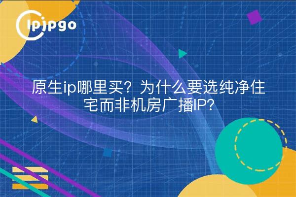 原生ip哪里买?为什么要选纯净住宅而非机房广播IP?