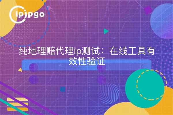 纯地理赔代理ip测试:在线工具有效性验证