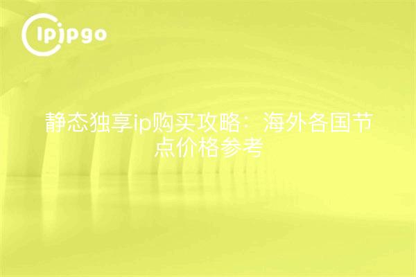 静态独享ip购买攻略:海外各国节点价格参考