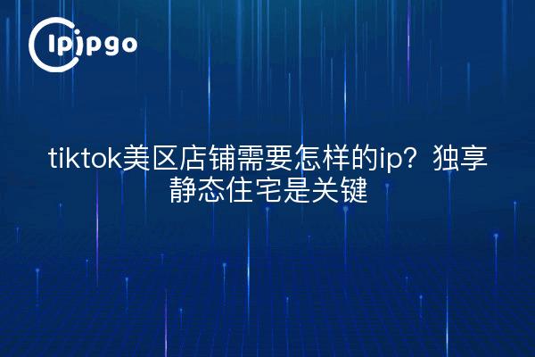 tiktok美区店铺需要怎样的ip?独享静态住宅是关键