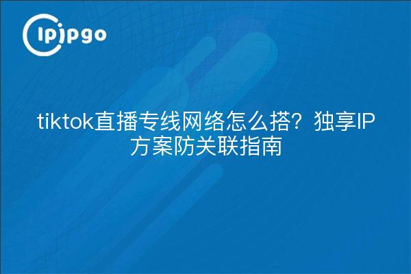 tiktok直播专线网络怎么搭？独享IP方案防关联指南