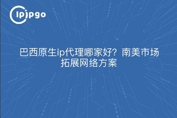 巴西原生ip代理哪家好?南美市场拓展网络方案