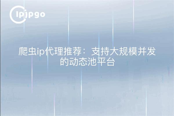 爬虫ip代理推荐：支持大规模并发的动态池平台