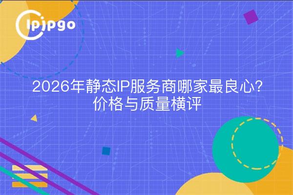 2026年静态IP服务商哪家最良心?价格与质量横评