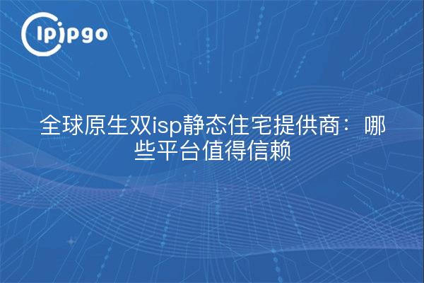全球原生双isp静态住宅提供商：哪些平台值得信赖