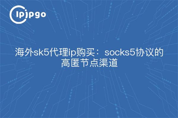 海外sk5代理ip购买:socks5协议的高匿节点渠道