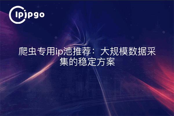 爬虫专用ip池推荐：大规模数据采集的稳定方案