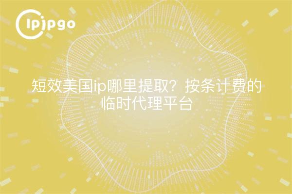 短效美国ip哪里提取？按条计费的临时代理平台