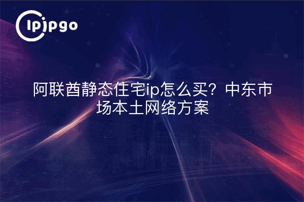 阿联酋静态住宅ip怎么买？中东市场本土网络方案