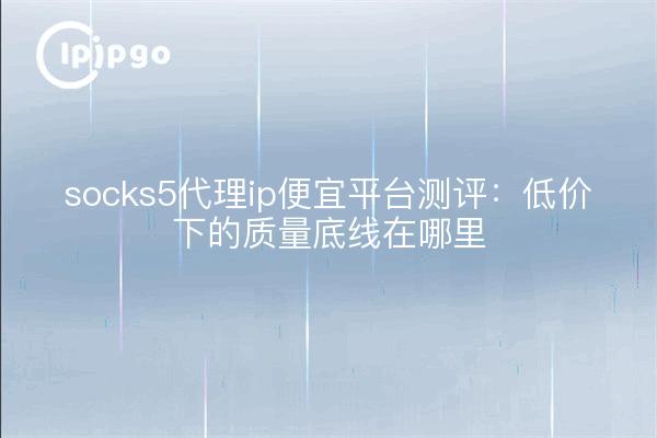 socks5代理ip便宜平台测评：低价下的质量底线在哪里
