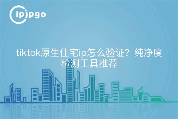 tiktok原生住宅ip怎么验证?纯净度检测工具推荐