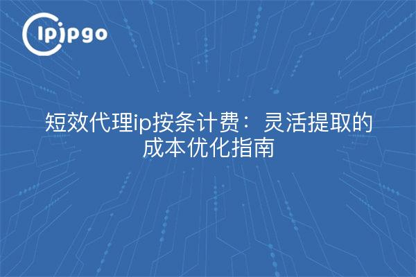 短效代理ip按条计费：灵活提取的成本优化指南