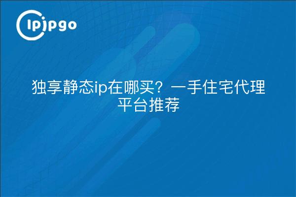 独享静态ip在哪买?一手住宅代理平台推荐