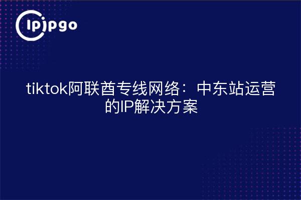 tiktok阿联酋专线网络:中东站运营的IP解决方案