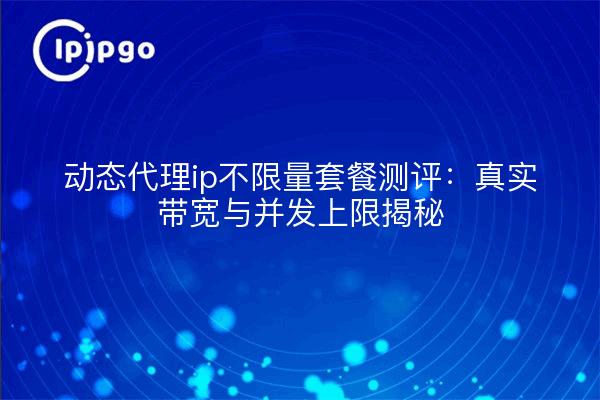 动态代理ip不限量套餐测评:真实带宽与并发上限揭秘