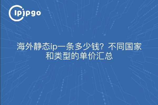 海外静态ip一条多少钱?不同国家和类型的单价汇总