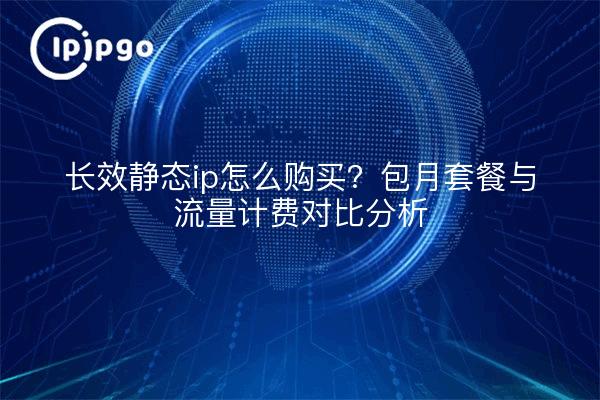 长效静态ip怎么购买?包月套餐与流量计费对比分析