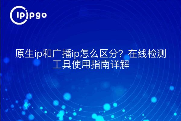 原生ip和广播ip怎么区分？在线检测工具使用指南详解
