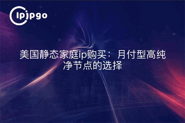 美国静态家庭ip购买：月付型高纯净节点的选择