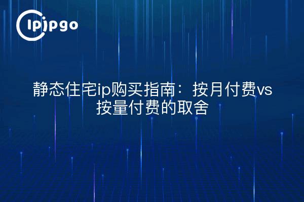 静态住宅ip购买指南:按月付费vs按量付费的取舍