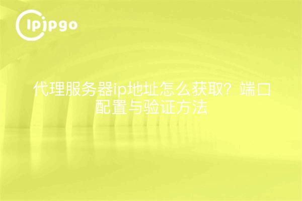 代理服务器ip地址怎么获取？端口配置与验证方法