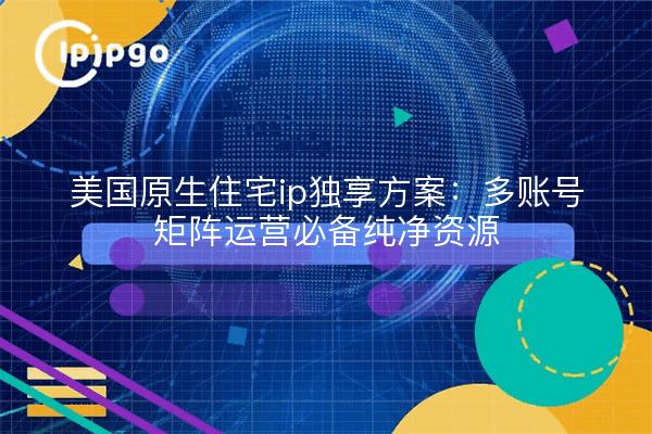 美国原生住宅ip独享方案：多账号矩阵运营必备纯净资源