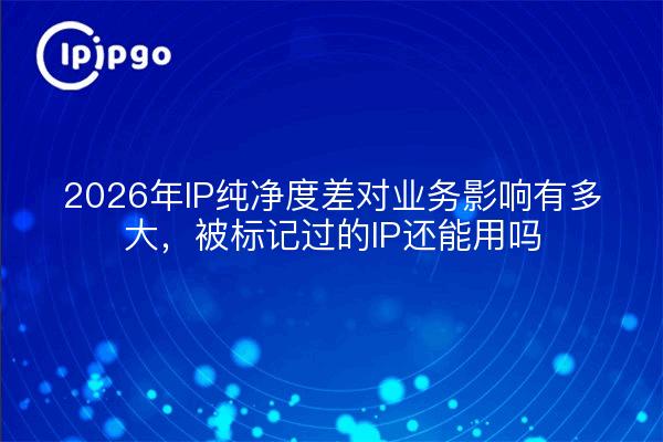 2026年IP纯净度差对业务影响有多大,被标记过的IP还能用吗